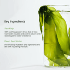 Refreshing Sea Kelp Real Deep Mask