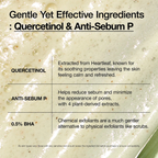 Heartleaf quercetinol pore deep cleansing foam