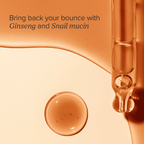 Revive Serum : Ginseng + Snail Mucin